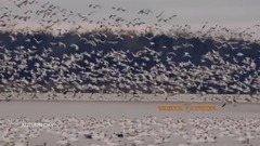 音乐短片 - Alexander Tarasov - Autumn Day