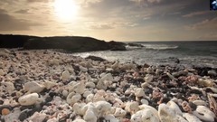 音乐短片 - D.I.M.A - Безмятежность (Serenity)