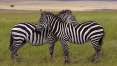 音乐短片 - 另一个世界第二部