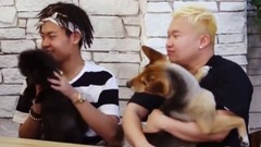 韩国群星 - Rapper们的狗狗炫耀 需要对话的猫狗