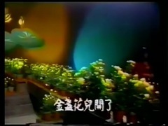 凤飞飞 - 金盏花