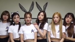 Apink - Interview