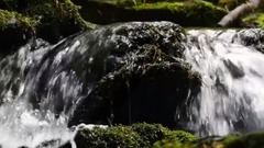 音乐短片 - Mantra (咒语)