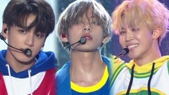 防弹少年团 - DNA