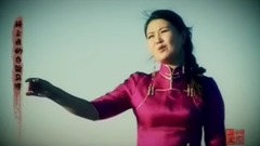 华语群星,民乐群星 - 相思旷野中