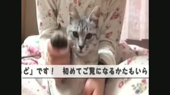 DANCEROID - [DRP2014]11. 出演:じゃむさん Bonus VTR2[DANCEROID]