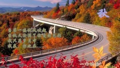 音乐短片 - 秋韵 . yixin映画