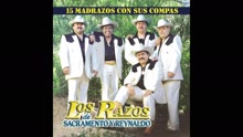 Chingon De Chingones (Cover Audio Video)