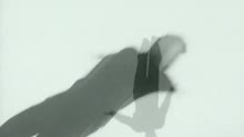 Die Zöllner - Good Bye, Cherie (Official Video) (VOD)
