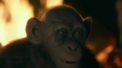 欧美群星,影视原声,看点什么梗,看点新片预告 - 电影<猩球崛起3.终极之战>cut 中集