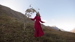 俄罗斯群星 - Лебеди