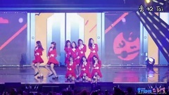 TWICE - SIGNAL
