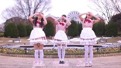 DANCEROID - [やこまなさつき]ハロー,ミスターチョコレート踊[オリジナル振付]