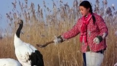 音乐短片 - 一个真实的故事