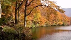 音乐短片 - Don't Let Me Fall