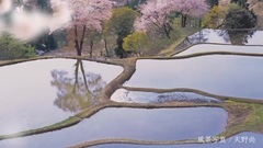 AKB48,NGT48 - "日本一の米どころから,あなたへ."新潟の米 コシヒカリ