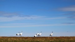 音乐短片 - Refrain