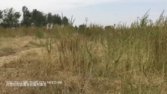 音乐短片 - 珍惜缘份Apologize道歉