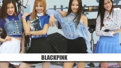 少女时代,T-ara,f(x),Red Velvet,BLACKPINK - 韩国KPOP各家女团中拥有非常好看应援棒的组合