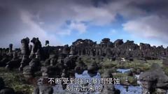 风景,影视原声,音乐短片,乐动城市 - 地球脉动-Planet Earth (2006) 3、淡水