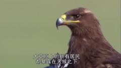风景,影视原声,音乐短片,乐动城市 - 地球脉动-Planet Earth (2006) 7、大草原