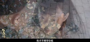 孙俪 - 电视剧<那年花开>孙俪情系他人陈晓气愤锤墙