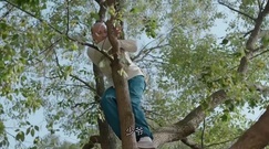 孙俪 - 电视剧<那年花开月正圆>何润东亲自爬树为孙俪摘酸枣