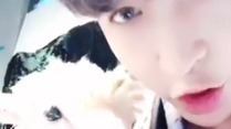 EXO,张艺兴 - 张艺兴更新视频:SHEEP! 17/10/07