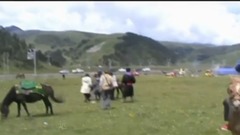 音乐短片 - 下马酒之歌(口琴)