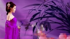 音乐短片 - 和兰花在一起(台湾兰花博览会)