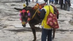 音乐短片 - 喝不尽黄河这壶酒