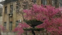 音乐短片 - 西南大学MV西风系列之一