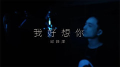 我好想你 ( Cover )