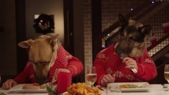音乐短片,萌宠 - Freshpet Holiday Feast - 13 Dogs and 1 Cat Eating with Human Hands
