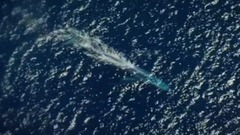 风景,影视原声,音乐短片 - The Hunt 第一季全 7.与捕食者同行