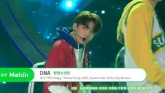 防弹少年团 - DNA