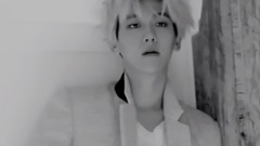 EXO - BAEKHYUN-KISS LAND 饭制版
