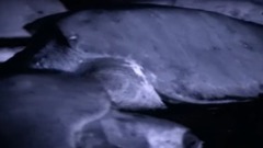 风景,影视原声,音乐短片,轻音乐 - <蓝色星球.The.Blue.Planet> EP01