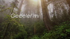 欧美群星 - Seni Kimler Aldı