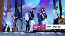 防弹少年团 - 防弹少年团 - DNA