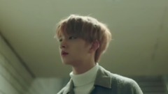Seventeen - 风车(SVT VOCAL TEAM)