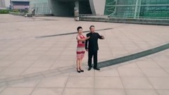 华语群星 - 让中原更出彩