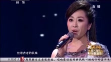 金婷婷 - 金婷婷 - 净土 现场版