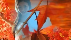 群星 - 枫叶红