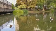 春风十里