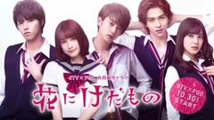 日本群星,影视原声 - ドラマ「花にけだもの」“けだキュン映像”