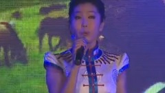 华语群星,民乐群星 - 流浪的牧马人