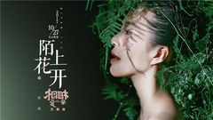 谭维维 - 陌上花开