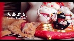 风景,音乐短片,轻音乐 - 东亚之灵