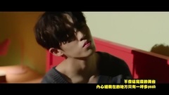 Seventeen - TRAUMA